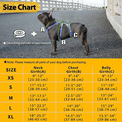 Escape Proof Dog Harness, No Pull Reflective Harness with Lift Handle, Adjustable Pet Vest with Front and Back Leash Clips for Small Medium Large Dogs Walking Hiking Training (Vista Blue,L)