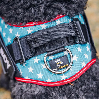 Personalized Dog Harness with Custom Name Patches, Adjustable Reflective No Choke Dog Vest with Handle for Small Dogs and Growing Puppy, Camouflage Pink, XS