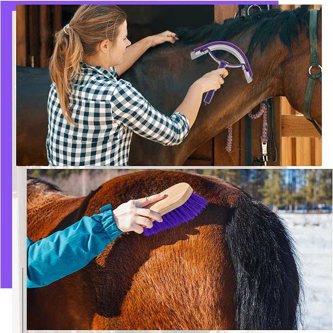 Abbylike 12 Pieces Horse Grooming Kit Racing Festival Tack Room Supplies Horse Brush Sets Equine Care Cleaning Kit Shedding Grooming Massaging Tools(Gray and Purple)