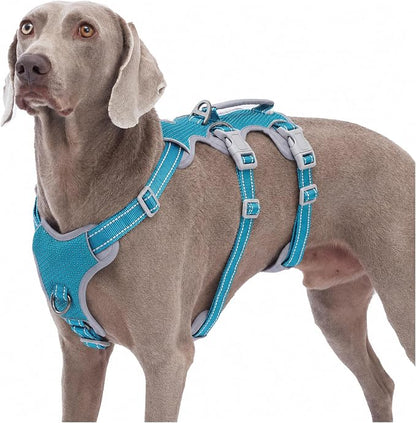 Escape Proof Dog Harness, No Pull Reflective Harness with Lift Handle, Adjustable Pet Vest with Front and Back Leash Clips for Small Medium Large Dogs Walking Hiking Training (Teal,XL)