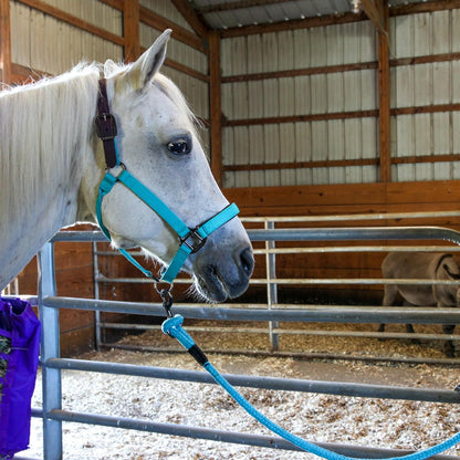 Majestic Ally Leather Halter with Matching Lead Rope for Horses – Leather Breakaway Crown - Adjustable Chin Strap – Rolled Throat Latch – Padded Noseband – Full (Hunter Green, Full)