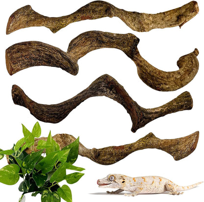 BNOSDM 4Pcs Reptile Climbing Branches Decor,Snake Climbing Branch,Gecko Climb Wood,Lizard Forest Branch,Tank Habitat Tree Trunk Decorations for Bearded Dragons,Chameleons,Spider,Frogs (S)