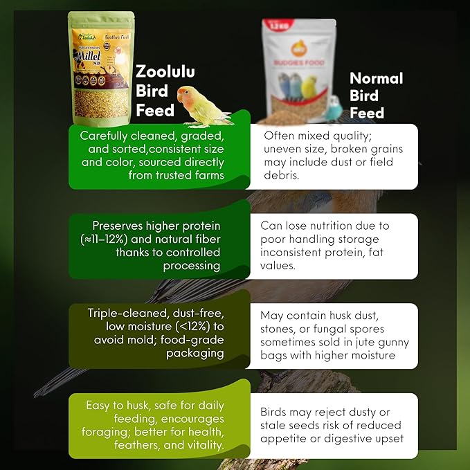 Danodia's Zoolulu Cockatiel & Parrotlet Millet Mix (950g/2 lbs) | Bird Food Blend for Cockatiels, Budgerigars, Parrotlets & Lovebirds | Daily Healthy Nutrition