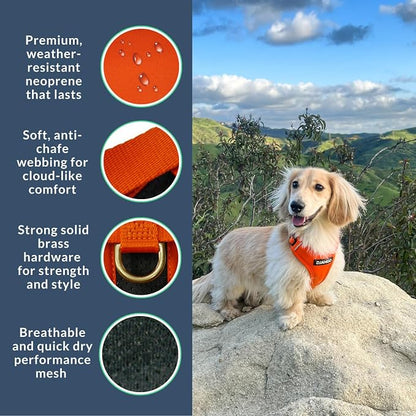 Adventure Dog Harness - Stylish, & Durable Medium Dog Harness for Outdoor Adventures and Everyday Wear - Sunset Orange Neoprene Adjustable Harness for Dogs with Reflective Piping & Brass D-ring