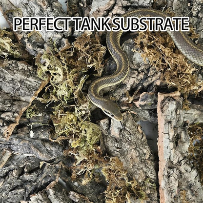 BNOSDM Reptile Terrarium Bark Substrate Bedding Tortoise 3.9-5.9in Natural Cork Bark Reptile Climbing Mat Habitat Decor for Lizard Snake Spiders Hermit Crabs Tarantula Geckos Bearded Dragons (1.4LB)