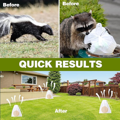 36 Pack Skunk & Raccoon Repellent for Yard, Natural Peppermint Rodent Repellent Ball Keep Skunk, Squirrel, Mouse, Raccoon Away from Yard Garden Lawn, Powerful Skunk Deterrent Outdoor