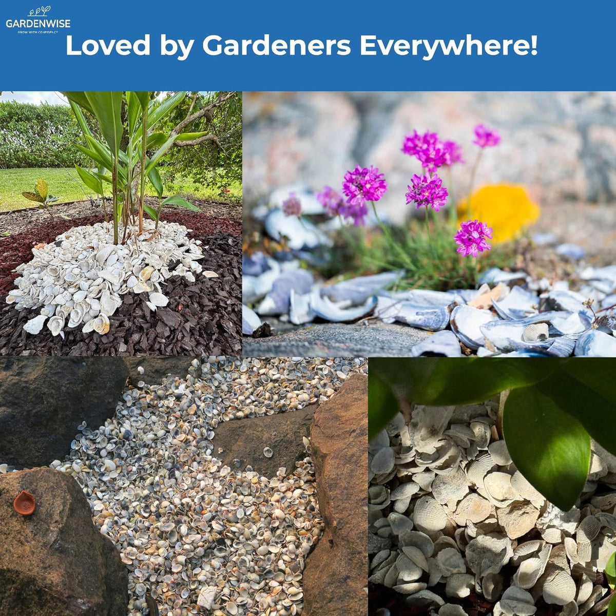 Natural Organic Sea Shell Mulch for Gardens and Landscaping – Decorative and Nutrient-Rich, 0.5–3-Inch Shells, Perfect for Indoor and Outdoor Use (2 CF - 56 L - 60 QTS)