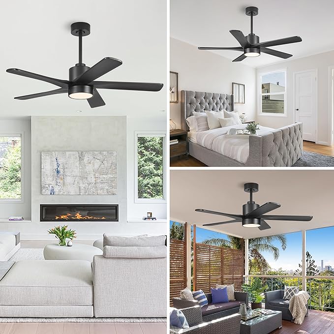 WINGBO 48 Inch DC Ceiling Fan