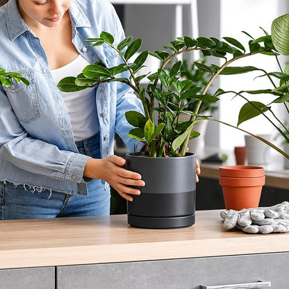 D'vine Dev 6.5 Inch Ceramic Planter Pot, Slate, 94-O-C-5 | Modern Cylinder Design, Drainage Hole & Saucer Included, Stable Structure, Elegant Home Accent