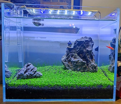 4 in 1 Aquarium Plant S.e.e.ds, no Artificial Plastic Plant, Live Grass for Fish Tank, fit All Substrate (0.36ozTiny+0.36oz Long+0.36oz Short+0.36oz Big Dual) ZQV-003