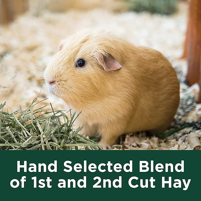 Kaytee Timothy Hay Plus Carrots for Pet Guinea Pigs, Rabbits & Other Small Animals, 24 oz (Pack of 2)