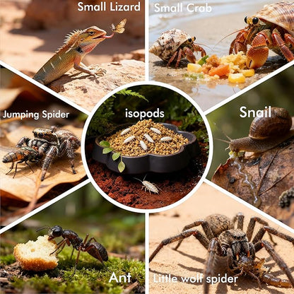 12-Pack Small Reptile Feeding Dish, Colorful Feeder Bowls for Dubia Roaches, Isopods, Springtails & Dwarf Invertebrates for Terrarium & Enclosure