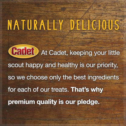 Cadet 100% Beef Strip Long Lasting Chews for Dogs, Single Ingredient Beef Esophagus Dog Treats, Natural High Protein Rawhide Alternative for Small & Large Dogs, 1.4 Ounce