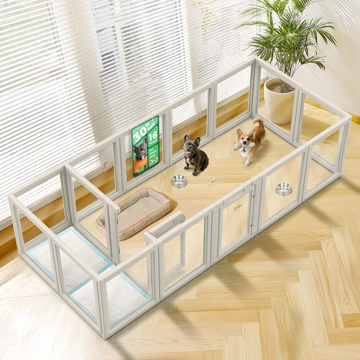 FXW AuraSpace Acrylic Indoor Unleashed Dog Playpen for Small and Medium Dogs, 30 Inch, 16 Panels, White