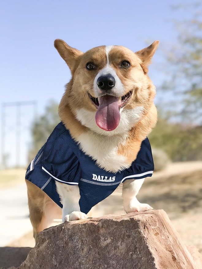 NFL Dallas Cowboys PET GIFT BOX with 2 Licensed DOG TOYS, 1 Logo-engraved NATURAL DOG TREAT, 1 NFL JERSEY, 1 NFL Puppy Training Bells & 1 Car Seatbelt