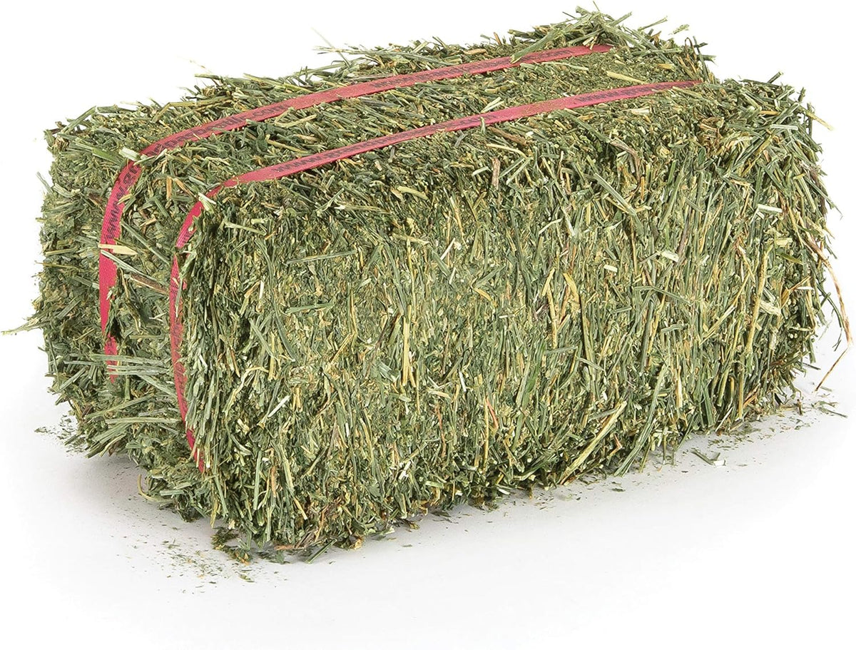 Grandpa's Best Alfalfa Hay, 5 lbs