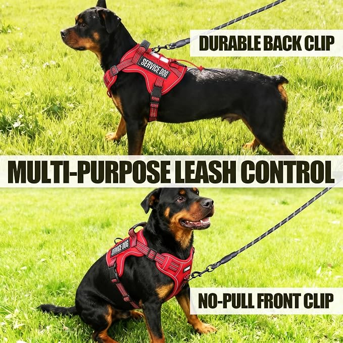 Service Dog Tactical Vest Harness and Leash Set Large Sized Dog Emotional Support- Tactical Dog Harness Training Collar with Name (Red, L)