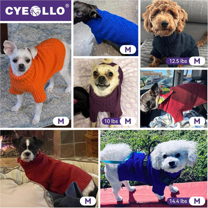 cyeollo Warm Fleece Dog Sweater, Tureleneck Sweatershirt for Small Boy & Girl Dogs Pullover Doggy Clothes in Cold Weather Stretchy Fall Winter Pet Outfit Puppy Coat, Aqua Green M