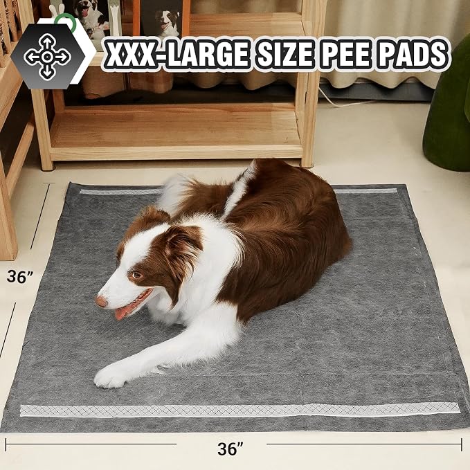 IMMCUTE Extra Large 36"X36" Charcoal Training Pads for Dogs, 30 Count, Activated Carbon Odor Control, XL Pads with Adhesive Strip