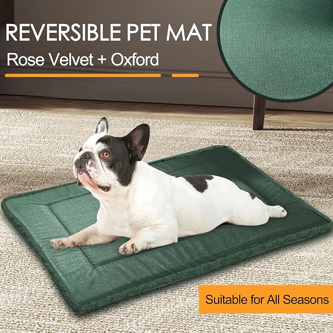 Washable Dog Bed Plush Orthopedic Outdoor Crate Mat with Non-Slip Bottom,Luxe Soft Kennel Pad for Pets,Cozy Cage Cushion & Pet Sleeping Mattress Large Sized,Medium,Small Dogs,36 x 24 inch,Green