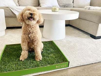 DoggieLawn Real Grass Dog Pee Pads w/ Tray - Standard Dog Potty Pad 24x16 | No-cleaning, odor-reducing puppy potty training pad for housebreaking, indoor or outdoor use, real grass, replace when needed
