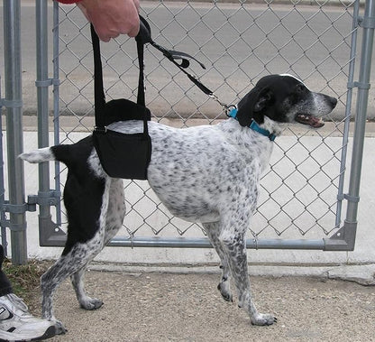 Dog Support Sling Rear Leg Harness, SM Male, Machine Wash & Dry | Fits Small to Medium Size Pets or Larger Barrel-Chested Breeds like Boxers, Bullies. Male Dachshunds use XS Size. Made in USA