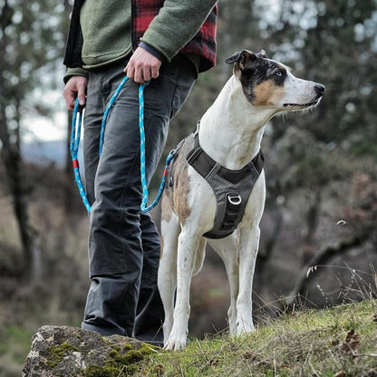 Kurgo Journey Air Dog Harness, Black, Small | Padded Chest, Ripstop Outer & Breathable Mesh, Back Assist Handle, Rust-Free Aluminum Hardware, Reflective Trim