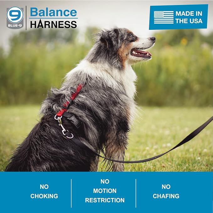 Blue-9 Buckle-Neck Balance Harness, Fully Customizable Fit No-Pull Harness, Ideal for Dog Training and Obedience, Made in The USA, Red, Large