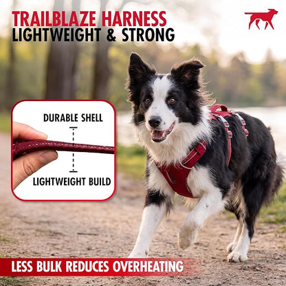 Tuff Pupper Escape Proof Dog Harness for Extra Small Dogs | No Pull Lightweight Adjustable Harness | No Escape Multifunctional Outdoor Pet Gear | Strong Durable Breathable | Secure Comfortable Fit