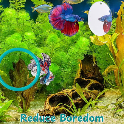 2 pcs Betta Ring Enrichment Toys with 1 pcs Betta Mirror, Exercise Training Ring and Floating Mirror for Fish Tank, Aquarium Feeding Rings with Floating Mirrors, Fish Toys, Bettas Toy (Teal, M-70mm)