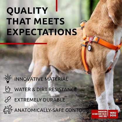 WAUDOG Waterproof Dog Harness - Adjustable for Large, Small and Medium Dogs - Heavy Duty with Durable Metal Clasp and QR Tag - Boy & Girl - Orange (20-32in)