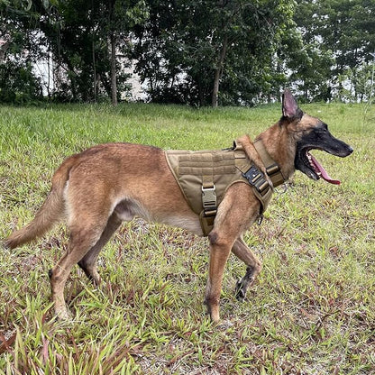 ICEFANG Tactical Dog Harness,X-Large Size, 2X Metal Buckle,Working Dog MOLLE Vest with Handle,No Pulling Front Leash Clip,Hook and Loop Panel