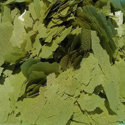 Aquatic Foods Inc. Flakes, Premium Spirulina Green-GRO Flakes for Guppies, Tetras, Live Bearers Great for All Community Tropicals. Premium Green GRO AF Flakes - 2-lbs