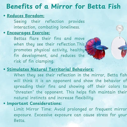 Betta Fish Enrichment Toys Ring and Mirror , Floating Exercise Mirrors And Training Ring, Floating Mirrors Aquarium With Feeding Rings, Fish Toys, Betta Fish Tank Accessories (Blue+Mirror, 6.4cm)