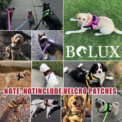 Bolux Dog Harness, No-Pull Reflective Dog Vest, Breathable Adjustable Pet Harness with Handle for Outdoor Walking - No More Pulling, Tugging or Choking (Flag, Medium)