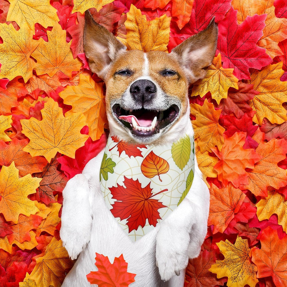 Abbylike 50 Pcs Fall Thanksgiving Dog Maple Leaves Bandanas Bulk Bandanas for Dogs Triangle Kerchief Bib Scarf for Pets Autumn Costume Photo Props Accessories Pet Shops, 25 Styles (25.6 x 17.7 x 17.7)
