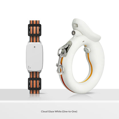 Happy Walking Leash