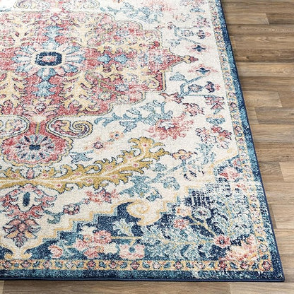 Livabliss Area Rugs - 9x12 Odelia Vintage Boho Aqua Burgandy Blue Area Rug for Living Room Bedroom - Floral Medallion Stain Resistant Carpet for Kitchen, Nursery, Office (8'10" x 12')