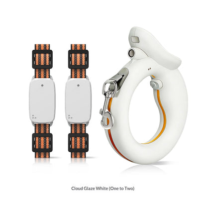 Happy Walking Leash