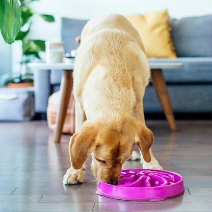 Hound Feeder Slo Bowl  Large 4 Cup Capacity, Slow Feeding, Medium To Large Dogs, Non Slip, Purple, Flower Pattern
