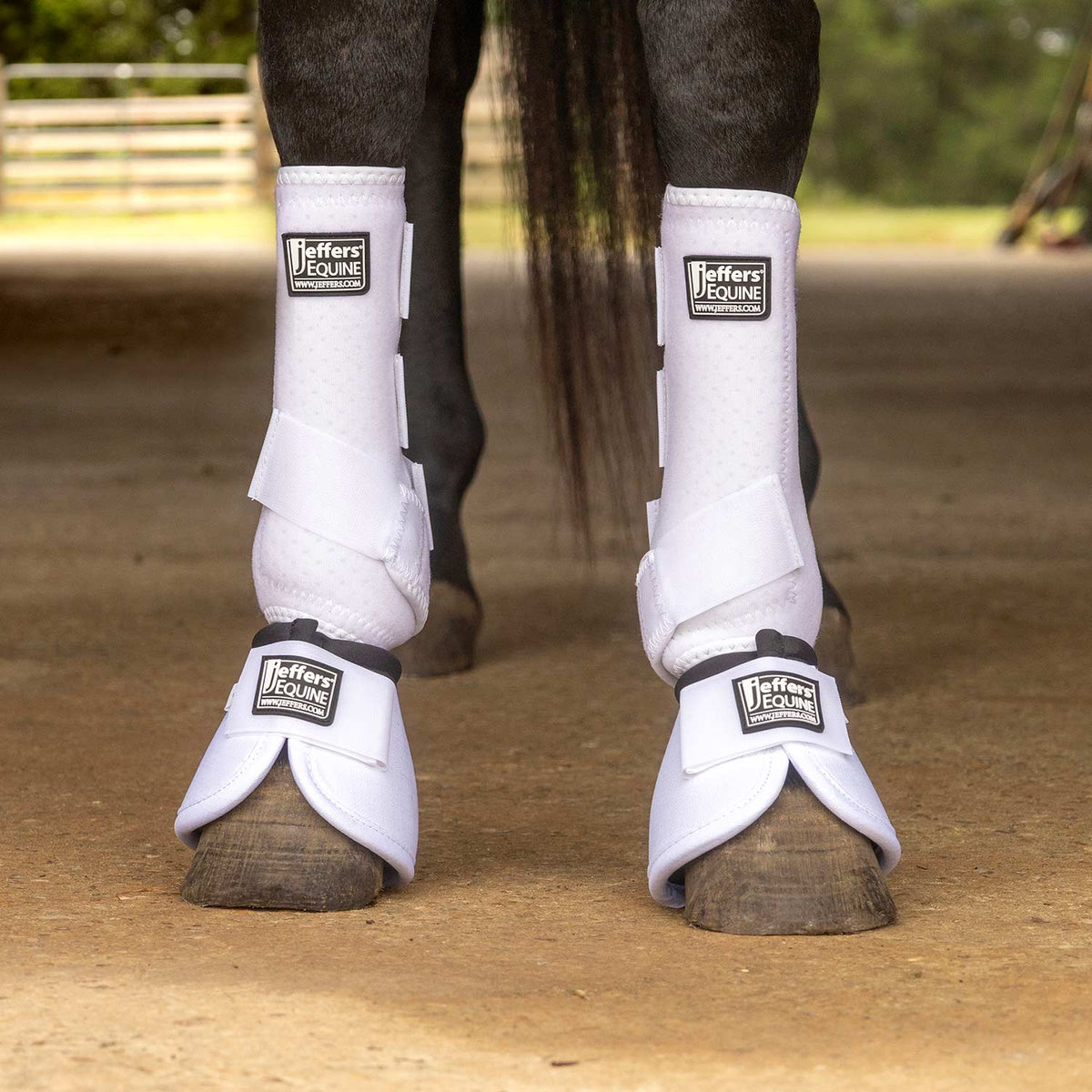 Jeffers Protective Horse Boots, Solid Colors